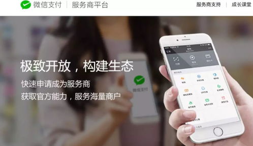 江蘇中理網(wǎng)絡(luò)科技 服務(wù)商定位、準(zhǔn)入路徑與網(wǎng)絡(luò)技術(shù)服務(wù)解析