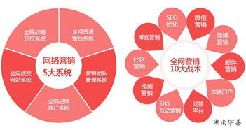 探索湖南網絡廣告多樣形態與專業咨詢服務 聚焦宇善傳媒技術服務